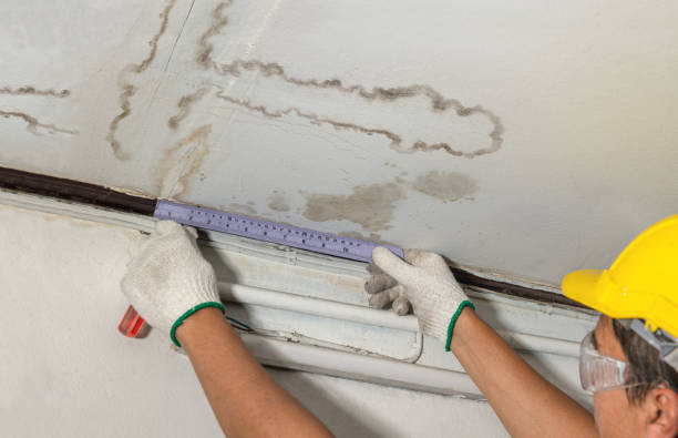 Affordable Water Damage Repair solutions in Randleman, NC